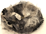 2018-10-15-10.30.35.png