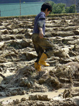 CIMG0632.jpg